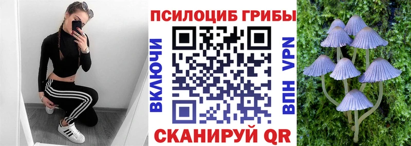 KRAKEN вход  Первомайск  Псилоцибиновые грибы прущие грибы 